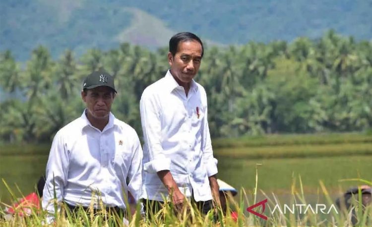 Presiden Joko Widodo (kanan) didampingi Menteri Pertanian Andi Amran Sulaiman (kiri) mengunjungi panen padi sekaligus gerakan olah tanah dan percepat tanam di hamparan persawahan yang diairi Bendung Daerah Irigasi Gumbasa, Kabupaten Sigi, Sulawesi Tengah, Rabu (27/3/2024). ANTARA/HO-Humas Kementan/aa.
