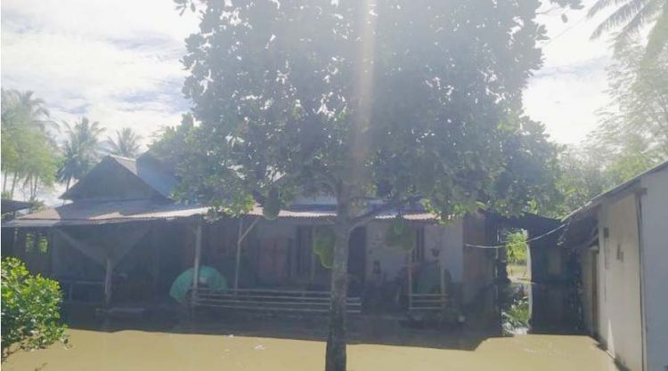 Rumah warga yang terdampak banjir di Desa Sambo, Dolo Selatan, Sigi, Kamis (11/4/2024). (Foto: HO-BPBD Sulteng)