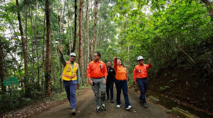 Wamen BUMN, Kartika Wiroatmodjo (kedua kiri) berjalan bersama CEO PT Vale Indoensia, Febriany Eddy (kedua kiri) di lahan reklamasi tambang yang telah menjadi hutan kembali di Soroako, Luwu TImur, Selasa (27/8/2024). (Foto: PT Vale Indonesia)