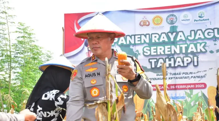 Kapolda SUlteng, Irjen Pol Agus Nugroho memegang jagung yang dipanennya di Desa Labuan Toposo, Donggala, Rabu (26/2/2025). (Foto Huams Polda Sutleng)