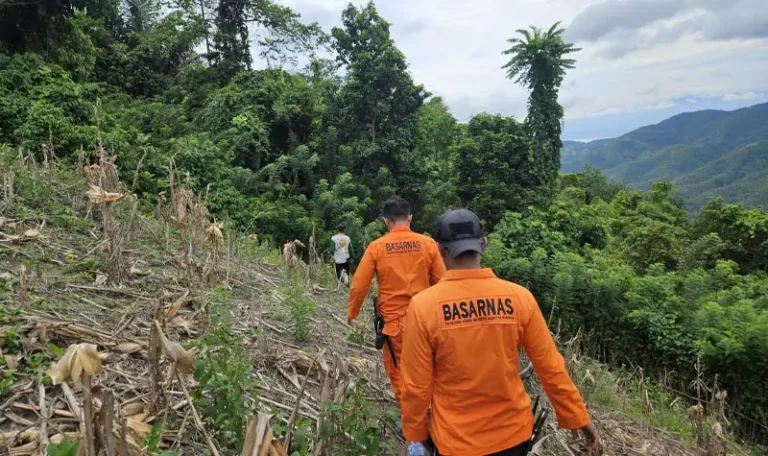 Upaya pencarian kakek yang dilaporkan hilang di Desa Lambo, Banawa, Donggala, Kamis (24/4/2025). (Foto: Basarnas Palu)