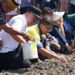 Wali Kota Palu Hadianto Rasyid (kedua kiri) bersama Kepala Teknik Tambang (KTT) PT Citra Palu Mineral (CPM) Yan Adriansyah (ketiga kanan) menanam bibit bawang merah di Kelurahan Tanamodindi, Palu, Sulawesi Tengah, Senin (12/5/2025). (Foto: Prokopim Setda Kota Palu/Iwan)