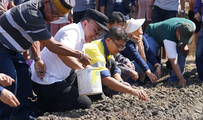 Wali Kota Palu Hadianto Rasyid (kedua kiri) bersama Kepala Teknik Tambang (KTT) PT Citra Palu Mineral (CPM) Yan Adriansyah (ketiga kanan) menanam bibit bawang merah di Kelurahan Tanamodindi, Palu, Sulawesi Tengah, Senin (12/5/2025). (Foto: Prokopim Setda Kota Palu/Iwan)