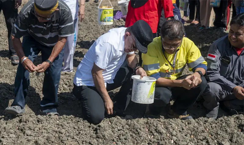 Wali Kota Palu Hadianto Rasyid (kedua kiri) bersama Kepala Teknik Tambang (KTT) PT Citra Palu Mineral (CPM) Yan Adriansyah (kedua kanan) menanam bibit bawang merah di Kelurahan Tanamodindi, Palu, Sulawesi Tengah, Senin (12/5/2025). (bmzIMAGES/Basri Marzuki)