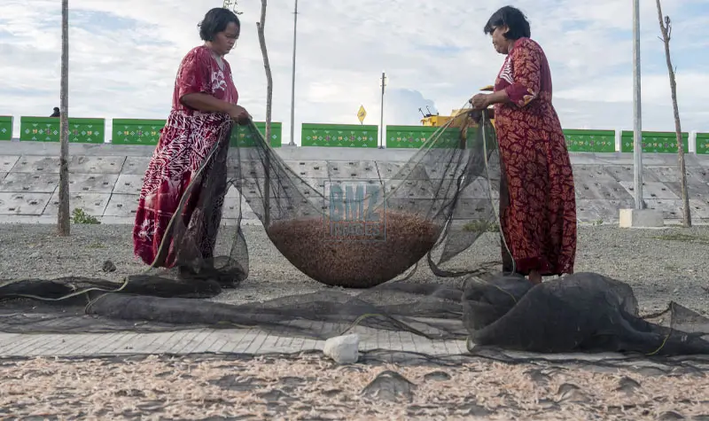 Warga mengumpulkan Lamale usai dijemur di Kampung Lere, Palu, Selasa (13/5/2025). (bmzIMAGES/Basri Marzuki)