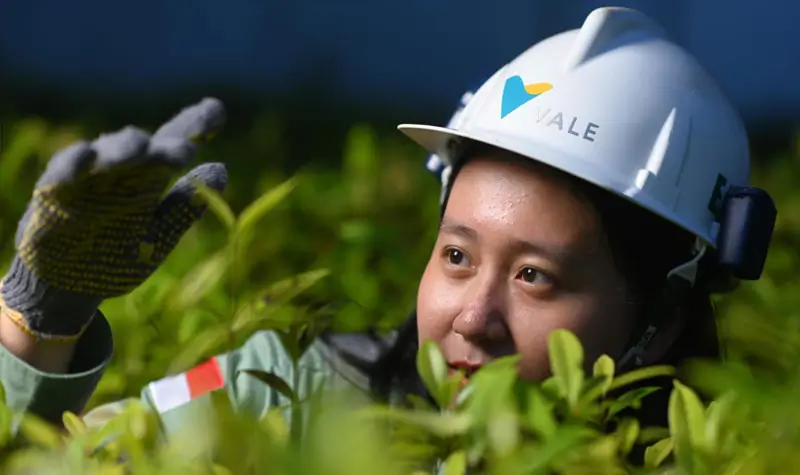 Praktik vokasi hilirisasi di Nursery Taman Kehati Sawerigading Wallacea kawasan PT Vale Indonesia di Sorowako, Luwu TImur. (Foto: Pt Vale Indonesia)
