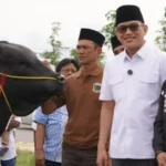 Wali Kota Palu, Hadianto Rasyid (kiri) bersama Menteri P2MI, Abdul kadir Karding pada penyerahan sapi kurban bantuan Presiden di Huntap Petobo, Jumat (6/6/2025). (Foto: Prokopim Setda Kota Palu/Iwan)