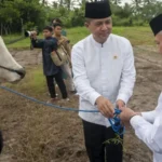Menteri Transmigrasi RI, Muhammad Iftitah Sulaiman Surnagara menyerahkan sapi kurban bantuan Presiden Prabowo Subianto kepada Bupati SIgi, Moh RIzal Intjenae di kawasan transmigrasi Bulupontu Jaya, Sigi, Jumat (6/6/2025). (bmzIMAGES/Basri Marzuki)